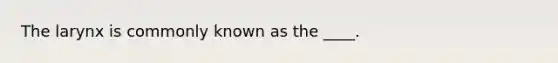 The larynx is commonly known as the ____.