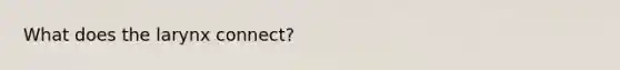 What does the larynx connect?