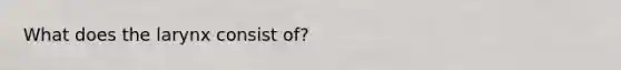 What does the larynx consist of?