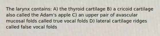 The larynx contains: A) the thyroid cartilage B) a cricoid cartilage also called the Adam's apple C) an upper pair of avascular mucosal folds called true vocal folds D) lateral cartilage ridges called false vocal folds