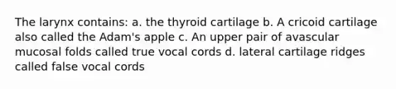 The larynx contains: a. the thyroid cartilage b. A cricoid cartilage also called the Adam's apple c. An upper pair of avascular mucosal folds called true vocal cords d. lateral cartilage ridges called false vocal cords