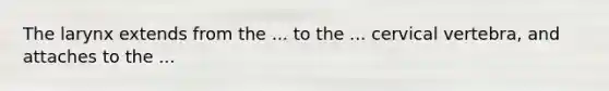The larynx extends from the ... to the ... cervical vertebra, and attaches to the ...