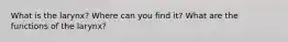 What is the larynx? Where can you find it? What are the functions of the larynx?