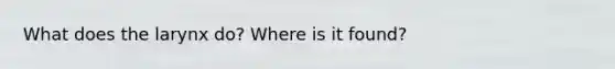 What does the larynx do? Where is it found?