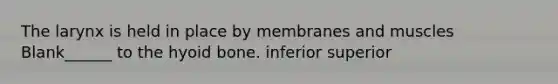 The larynx is held in place by membranes and muscles Blank______ to the hyoid bone. inferior superior