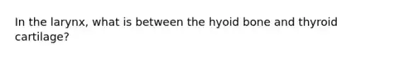 In the larynx, what is between the <a href='https://www.questionai.com/knowledge/kVV1acPC4Z-hyoid-bone' class='anchor-knowledge'>hyoid bone</a> and thyroid cartilage?