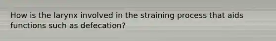 How is the larynx involved in the straining process that aids functions such as defecation?