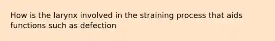 How is the larynx involved in the straining process that aids functions such as defection