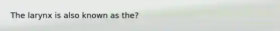 The larynx is also known as the?