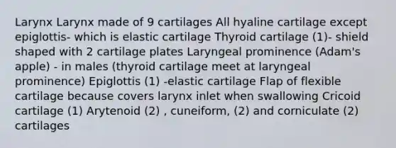 Larynx Larynx made of 9 cartilages All hyaline cartilage except epiglottis- which is elastic cartilage Thyroid cartilage (1)- shield shaped with 2 cartilage plates Laryngeal prominence (Adam's apple) - in males (thyroid cartilage meet at laryngeal prominence) Epiglottis (1) -elastic cartilage Flap of flexible cartilage because covers larynx inlet when swallowing Cricoid cartilage (1) Arytenoid (2) , cuneiform, (2) and corniculate (2) cartilages