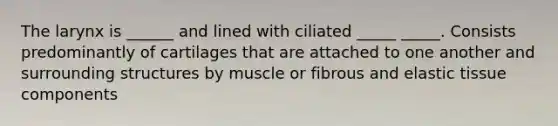 The larynx is ______ and lined with ciliated _____ _____. Consists predominantly of cartilages that are attached to one another and surrounding structures by muscle or fibrous and elastic tissue components