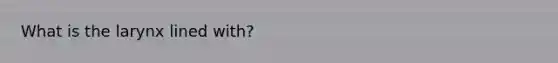 What is the larynx lined with?