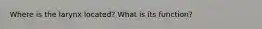 Where is the larynx located? What is its function?