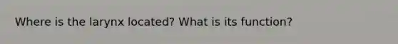 Where is the larynx located? What is its function?