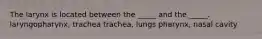 The larynx is located between the _____ and the _____. laryngopharynx, trachea trachea, lungs pharynx, nasal cavity