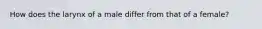 How does the larynx of a male differ from that of a female?