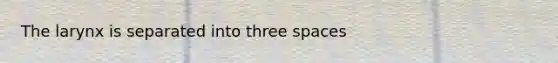 The larynx is separated into three spaces