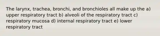 The larynx, trachea, bronchi, and bronchioles all make up the a) upper respiratory tract b) alveoli of the respiratory tract c) respiratory mucosa d) internal respiratory tract e) lower respiratory tract