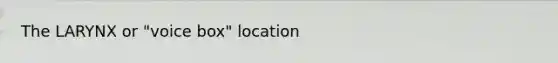 The LARYNX or "voice box" location