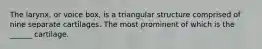 The larynx, or voice box, is a triangular structure comprised of nine separate cartilages. The most prominent of which is the ______ cartilage.
