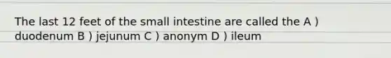 The last 12 feet of the small intestine are called the A ) duodenum B ) jejunum C ) anonym D ) ileum