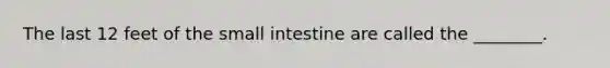 The last 12 feet of the small intestine are called the ________.