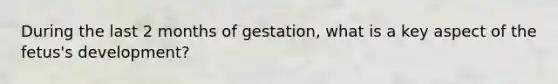 During the last 2 months of gestation, what is a key aspect of the fetus's development?