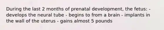 During the last 2 months of prenatal development, the fetus: - develops the neural tube - begins to from a brain - implants in the wall of the uterus - gains almost 5 pounds