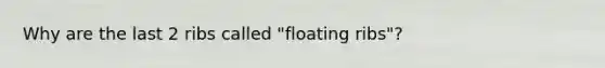 Why are the last 2 ribs called "floating ribs"?