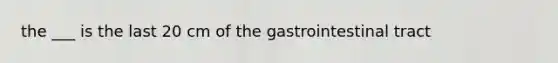 the ___ is the last 20 cm of the gastrointestinal tract