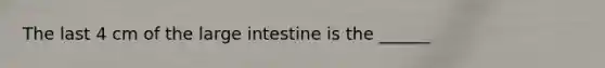 The last 4 cm of the large intestine is the ______