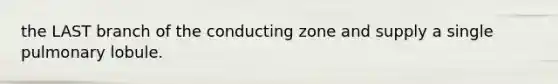 the LAST branch of the conducting zone and supply a single pulmonary lobule.