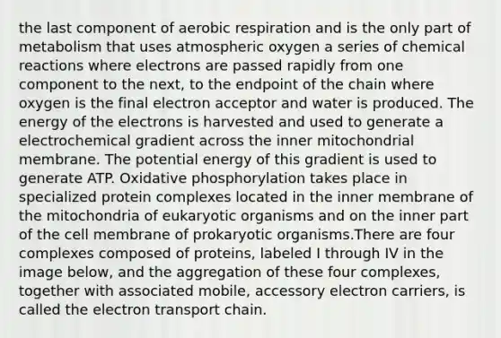 the last component of aerobic respiration and is the only part of metabolism that uses atmospheric oxygen a series of chemical reactions where electrons are passed rapidly from one component to the next, to the endpoint of the chain where oxygen is the final electron acceptor and water is produced. The energy of the electrons is harvested and used to generate a electrochemical gradient across the inner mitochondrial membrane. The potential energy of this gradient is used to generate ATP. Oxidative phosphorylation takes place in specialized protein complexes located in the inner membrane of the mitochondria of eukaryotic organisms and on the inner part of the cell membrane of prokaryotic organisms.There are four complexes composed of proteins, labeled I through IV in the image below, and the aggregation of these four complexes, together with associated mobile, accessory electron carriers, is called the electron transport chain.