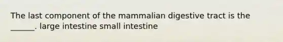 The last component of the mammalian digestive tract is the ______. large intestine small intestine