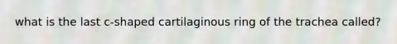 what is the last c-shaped cartilaginous ring of the trachea called?