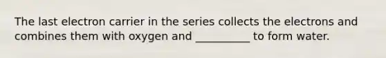 The last electron carrier in the series collects the electrons and combines them with oxygen and __________ to form water.
