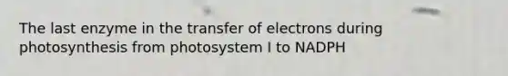 The last enzyme in the transfer of electrons during photosynthesis from photosystem I to NADPH