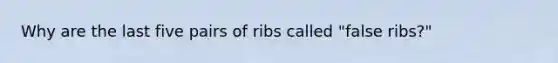 Why are the last five pairs of ribs called "false ribs?"