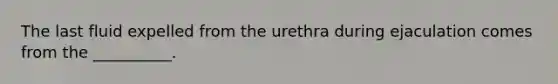 The last fluid expelled from the urethra during ejaculation comes from the __________.