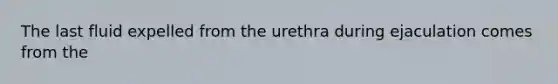 The last fluid expelled from the urethra during ejaculation comes from the