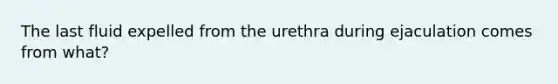 The last fluid expelled from the urethra during ejaculation comes from what?