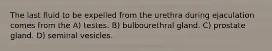 The last fluid to be expelled from the urethra during ejaculation comes from the A) testes. B) bulbourethral gland. C) prostate gland. D) seminal vesicles.