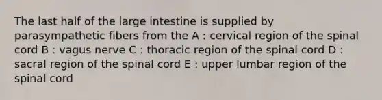 The last half of the large intestine is supplied by parasympathetic fibers from the A : cervical region of the spinal cord B : vagus nerve C : thoracic region of the spinal cord D : sacral region of the spinal cord E : upper lumbar region of the spinal cord