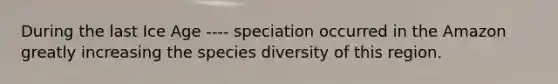 During the last Ice Age ---- speciation occurred in the Amazon greatly increasing the species diversity of this region.