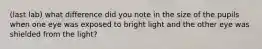 (last lab) what difference did you note in the size of the pupils when one eye was exposed to bright light and the other eye was shielded from the light?