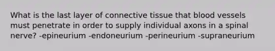 What is the last layer of connective tissue that blood vessels must penetrate in order to supply individual axons in a spinal nerve? -epineurium -endoneurium -perineurium -supraneurium