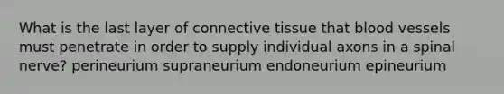 What is the last layer of connective tissue that blood vessels must penetrate in order to supply individual axons in a spinal nerve? perineurium supraneurium endoneurium epineurium