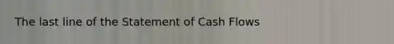 The last line of the Statement of Cash Flows