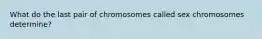 What do the last pair of chromosomes called sex chromosomes determine?