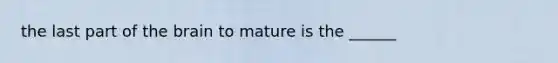 the last part of the brain to mature is the ______